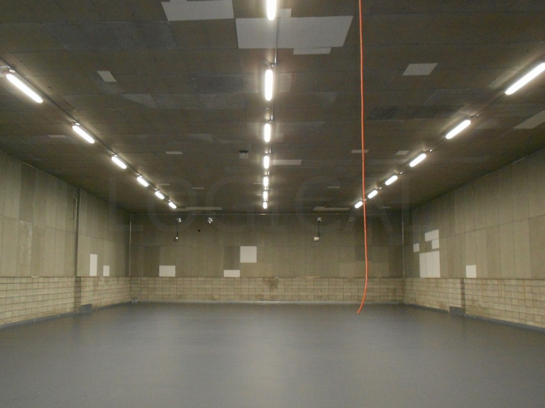 冷凍倉庫 LED 床面塗装